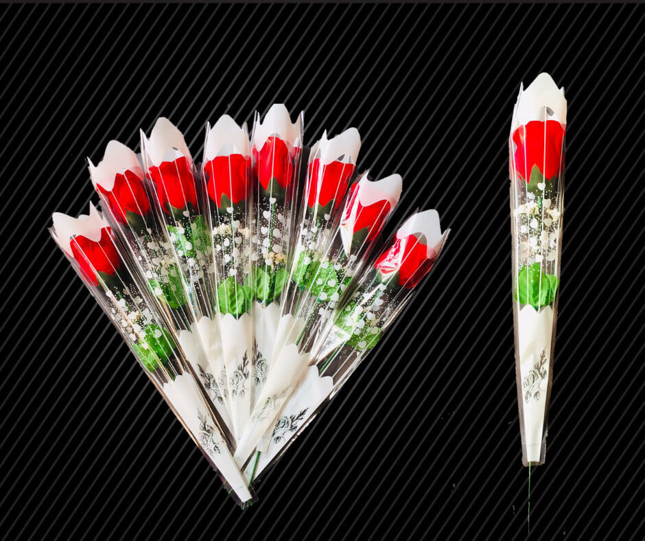 271243409_132789112550886_624930938764377714_n