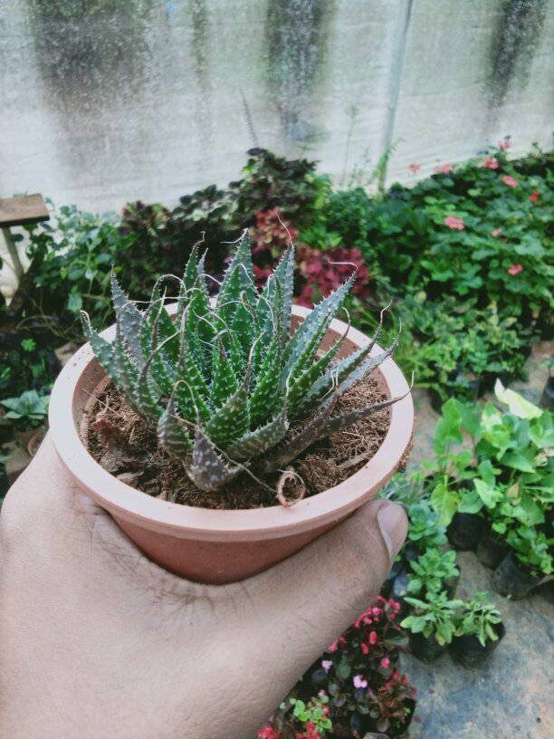 278166306_144665758061276_2764837275753819520_n