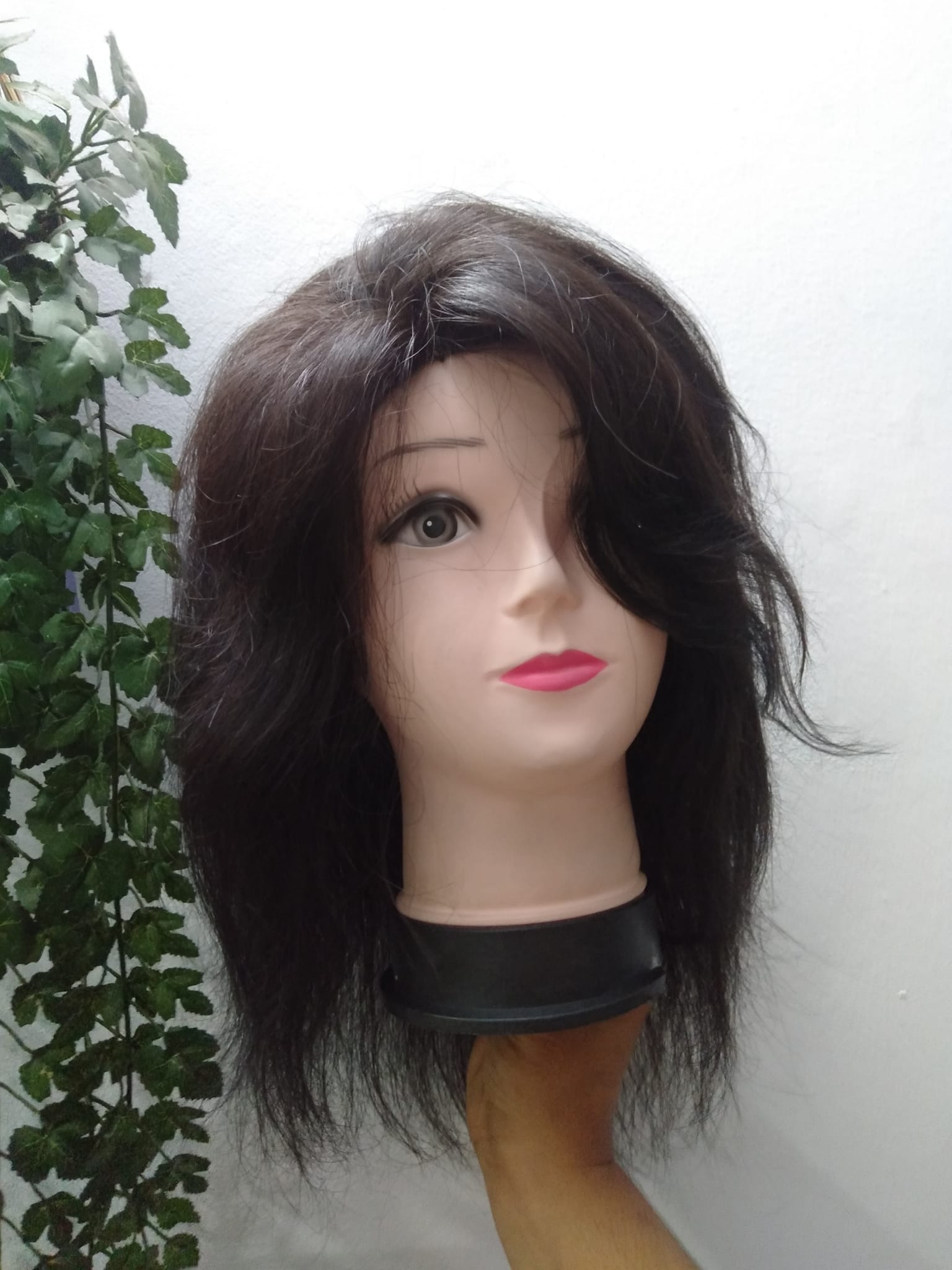 285107651_101027772640111_3954252968417637429_n