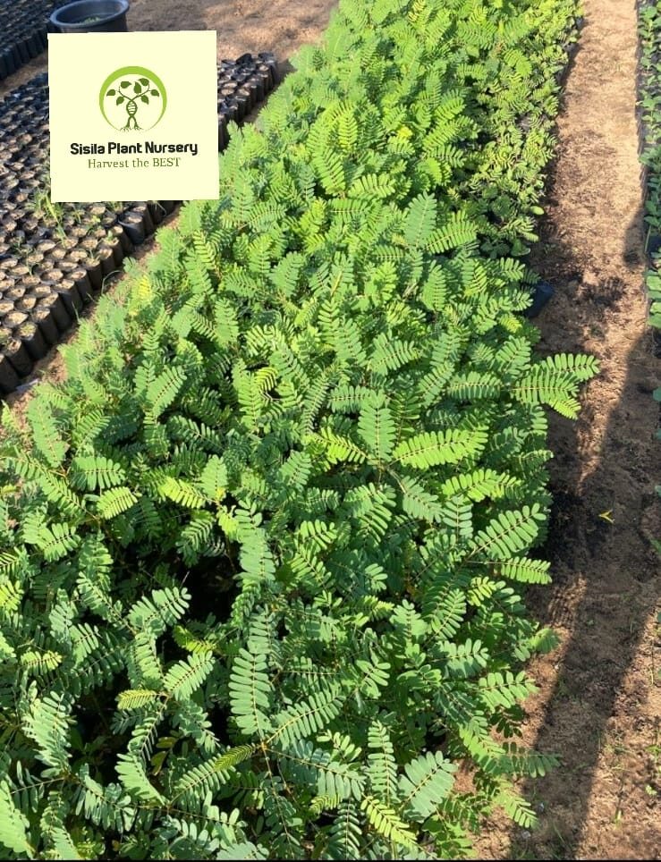 289385865_340145138323892_8185216062911558080_n