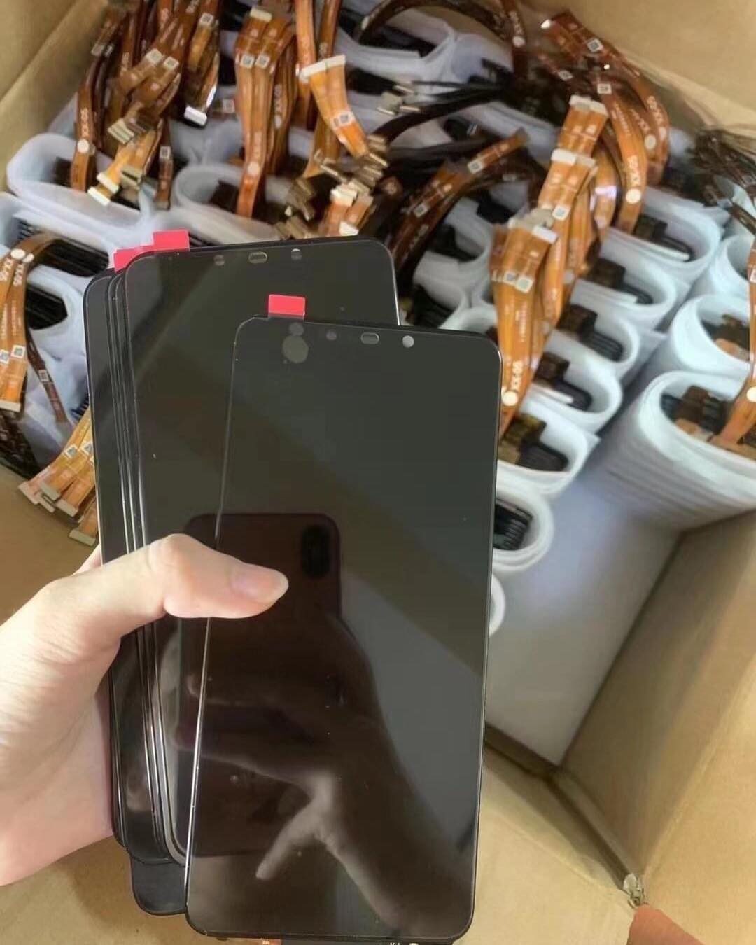290926809_147214227901364_305129599914961133_n